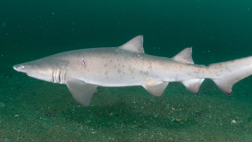 3674b903-b0f3-45c1-b518-54b9773f8b69