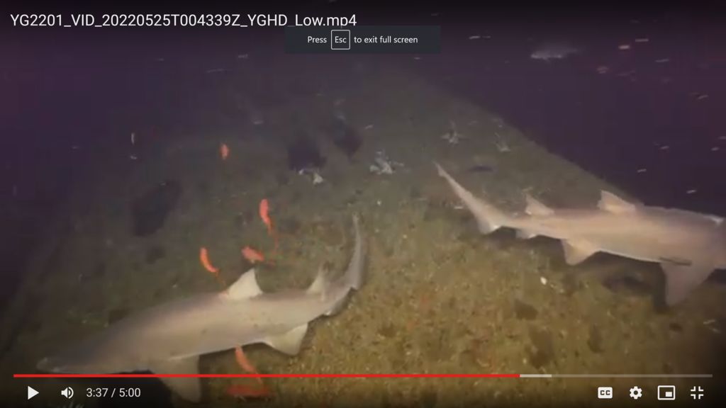 826b6cfa-4d9a-4519-acbb-ae7881063347