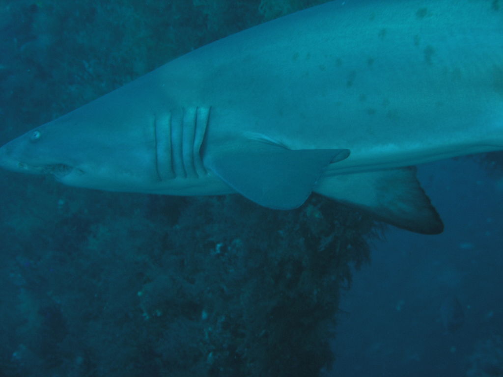 bd8a3d5f-b8bf-456e-b9c1-c4605ddc6904