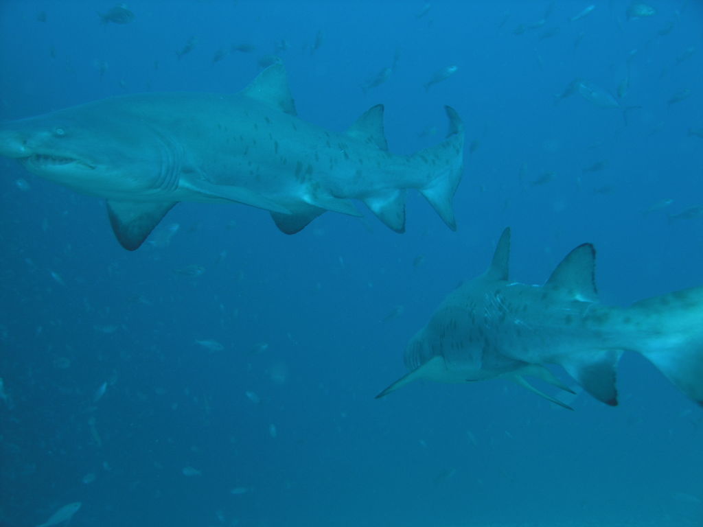 bd8a3d5f-b8bf-456e-b9c1-c4605ddc6904