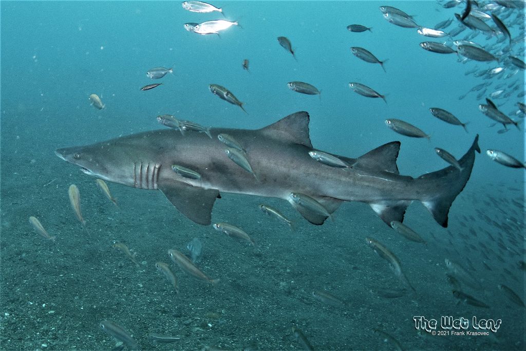 1980c769-0d7e-4aa0-b048-1e3e40d05e64