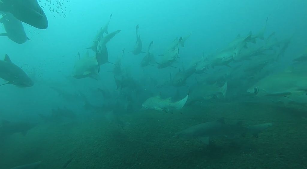 b4d386a9-a3c8-421f-961b-e621c5f70bec