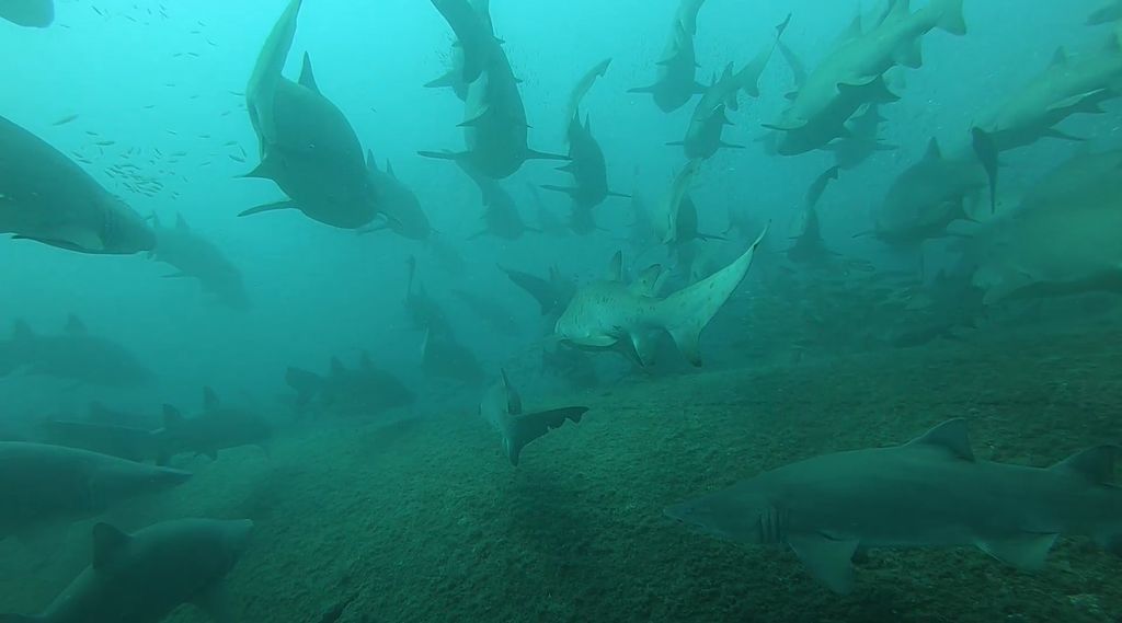 b4d386a9-a3c8-421f-961b-e621c5f70bec