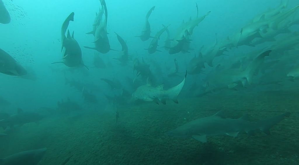 b4d386a9-a3c8-421f-961b-e621c5f70bec