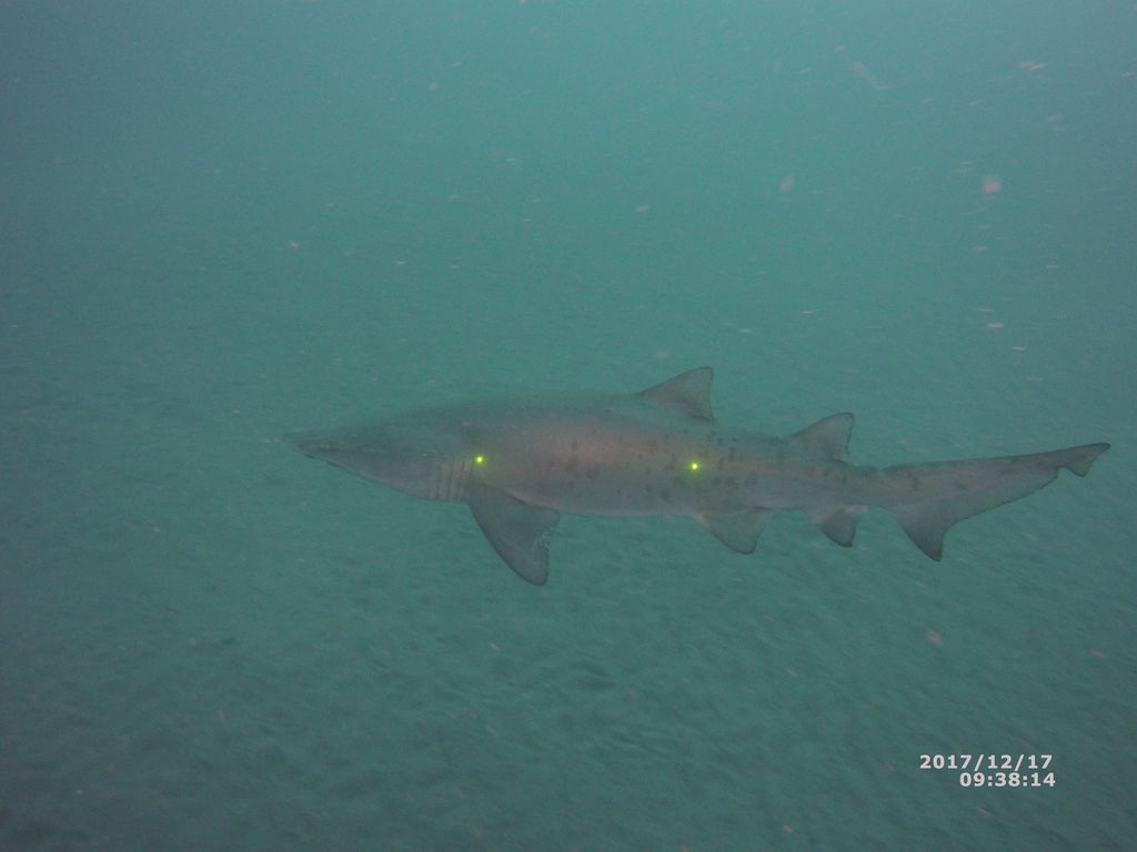 35e8dce6-bc30-4db2-aec0-0022f83ca74a