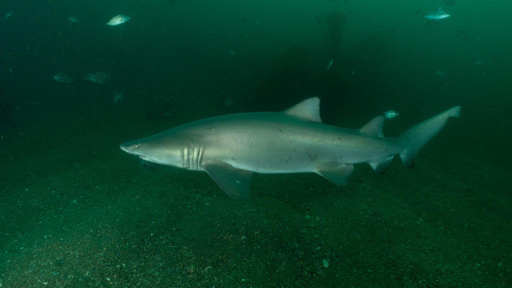 676d920b-d374-4451-8cf5-43af4a6d6729