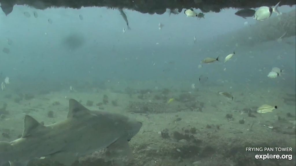 b7ed815c-64e5-47fa-b89f-de5a93688723