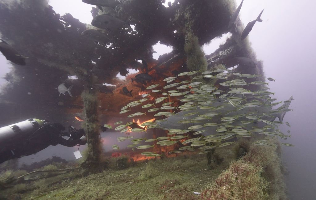 b2ab3e71-a407-49ef-b1cb-a256e5d18a65