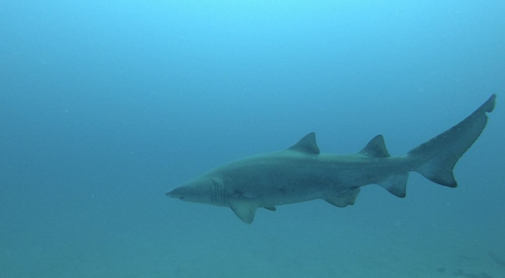 0d643500-fc5a-4362-bbc0-41c01a4a075b