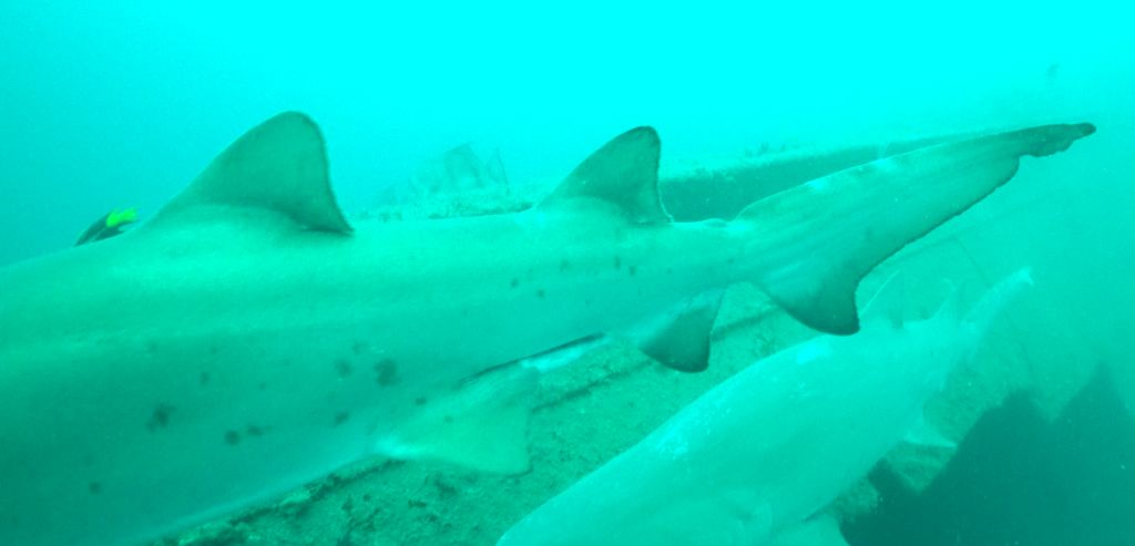 36c9b5de-da43-4111-bf3d-f650abf285f9