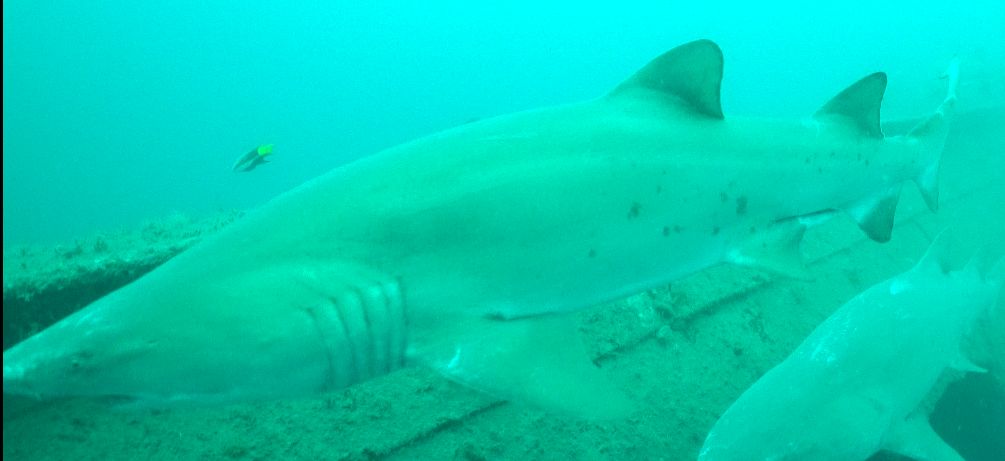 36c9b5de-da43-4111-bf3d-f650abf285f9