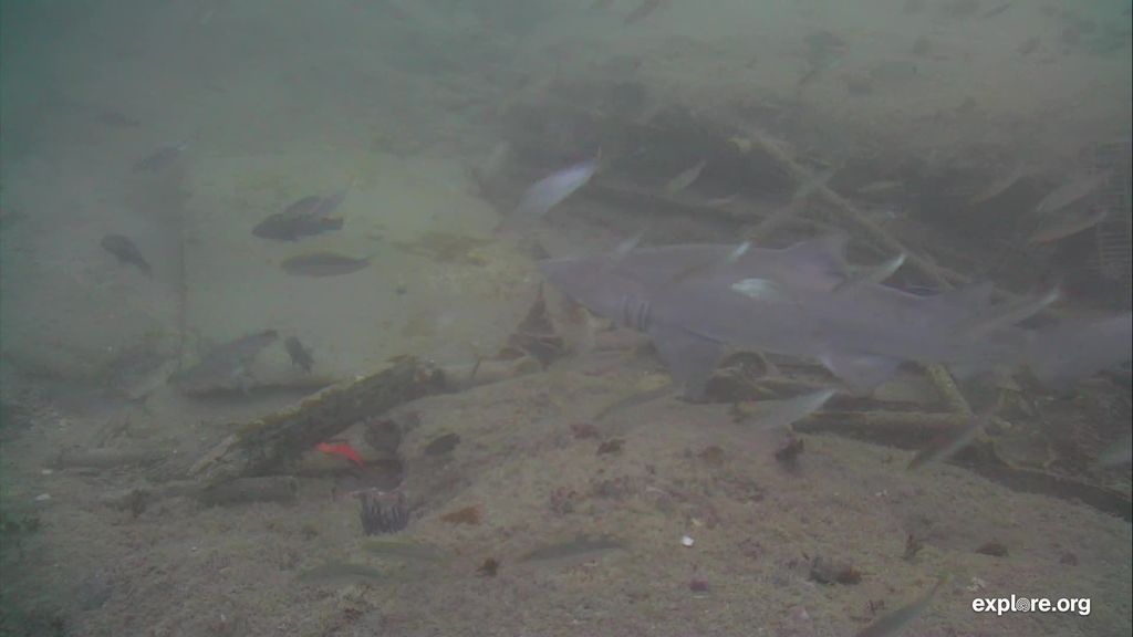 359c7b44-1b09-4174-8feb-e6b2cfc785a8