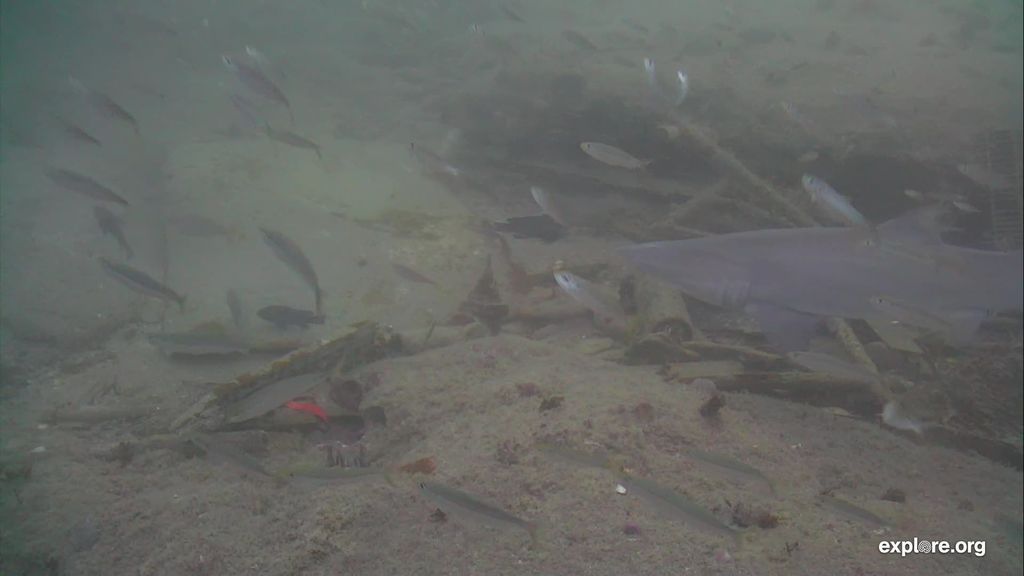 359c7b44-1b09-4174-8feb-e6b2cfc785a8