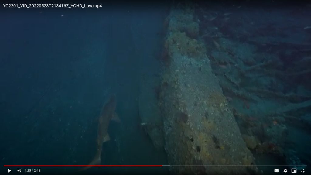 e989f42b-a564-42ce-95c0-b643a22d76a9