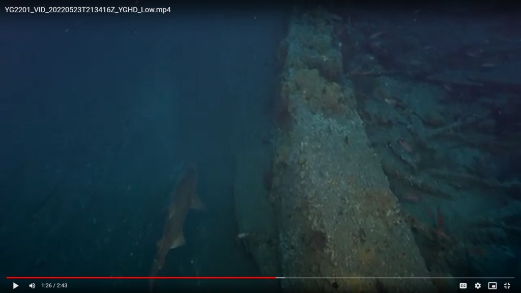 e989f42b-a564-42ce-95c0-b643a22d76a9