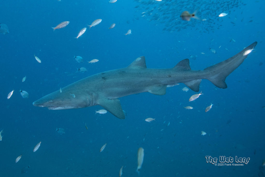 7af0f2ce-efbc-4bfb-9c49-c160d5bea471