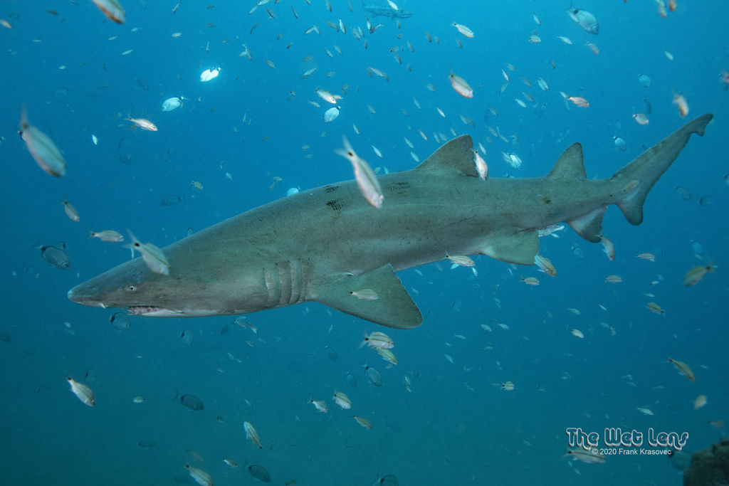 7af0f2ce-efbc-4bfb-9c49-c160d5bea471