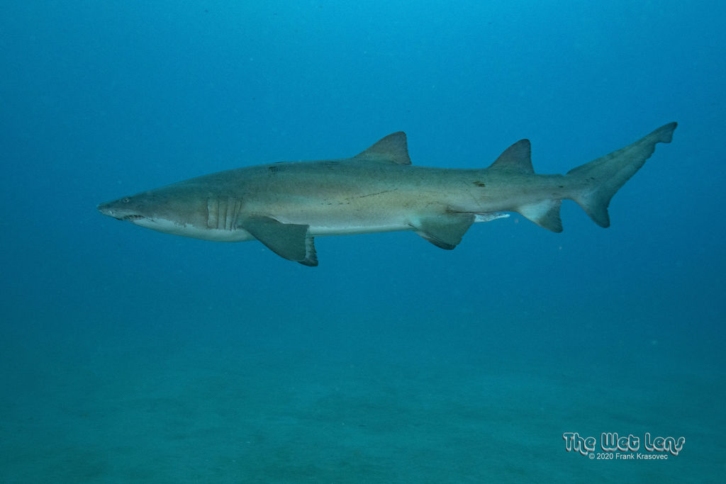 7af0f2ce-efbc-4bfb-9c49-c160d5bea471