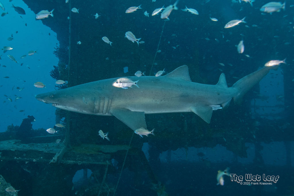 7af0f2ce-efbc-4bfb-9c49-c160d5bea471