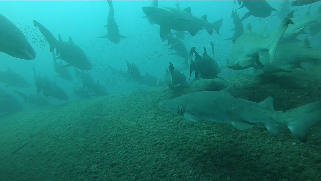 ab685af8-acc0-4e2b-a792-37a72d84f0ee