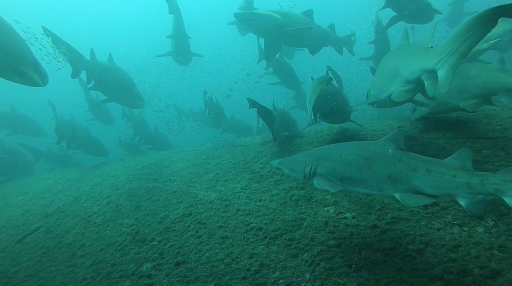 ab685af8-acc0-4e2b-a792-37a72d84f0ee