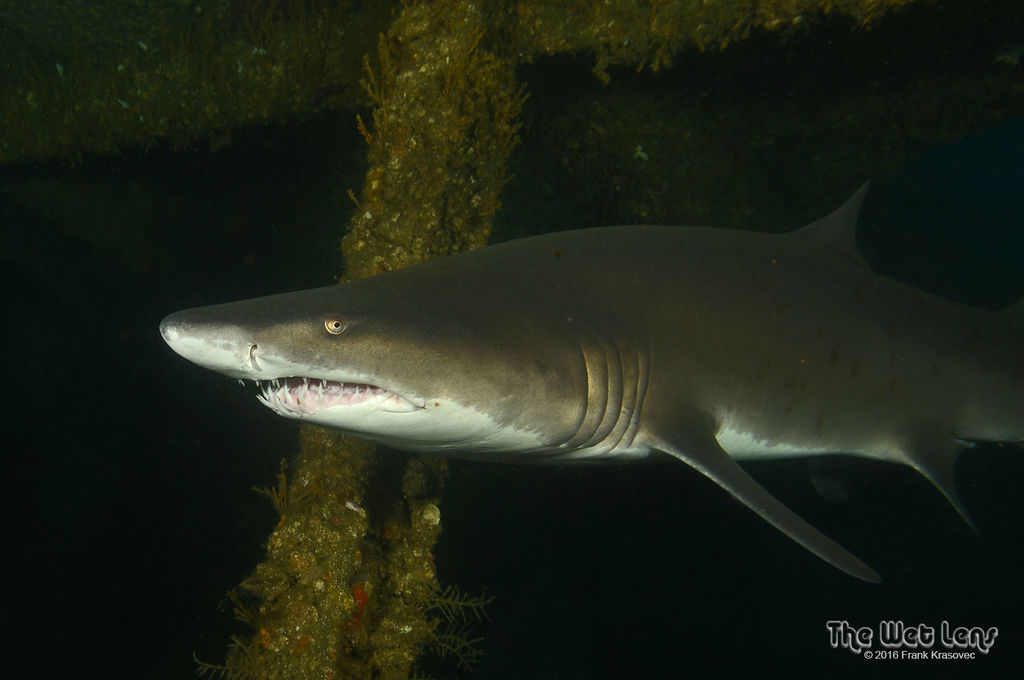 92d5891c-6632-4fa3-a19e-9a3ccb4bd2f9