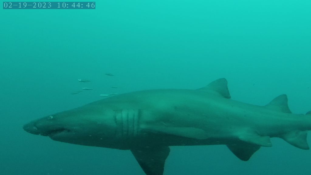 1f379b2b-e318-4aee-a36e-682017b95d57