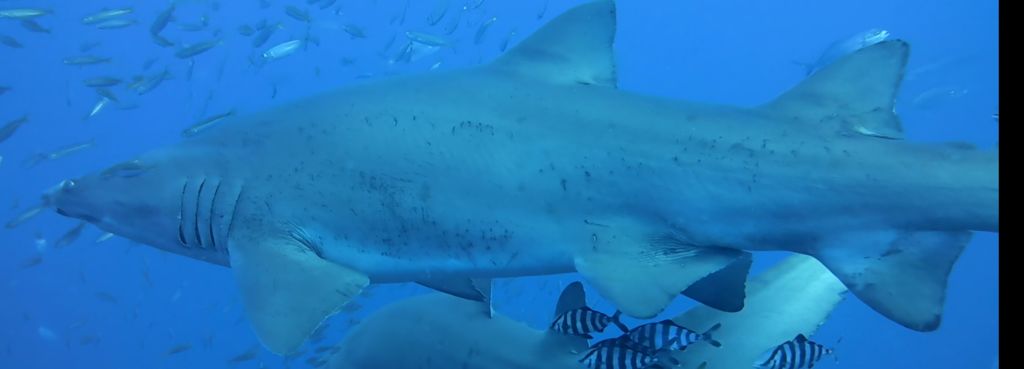 3548b608-4cb8-4fa8-babf-cf6569a88c69