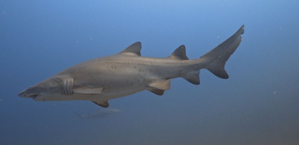 ac2fdbb5-de19-44b2-91d8-3a233e370872