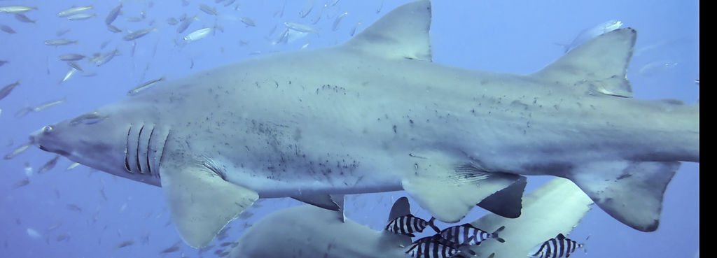 3548b608-4cb8-4fa8-babf-cf6569a88c69