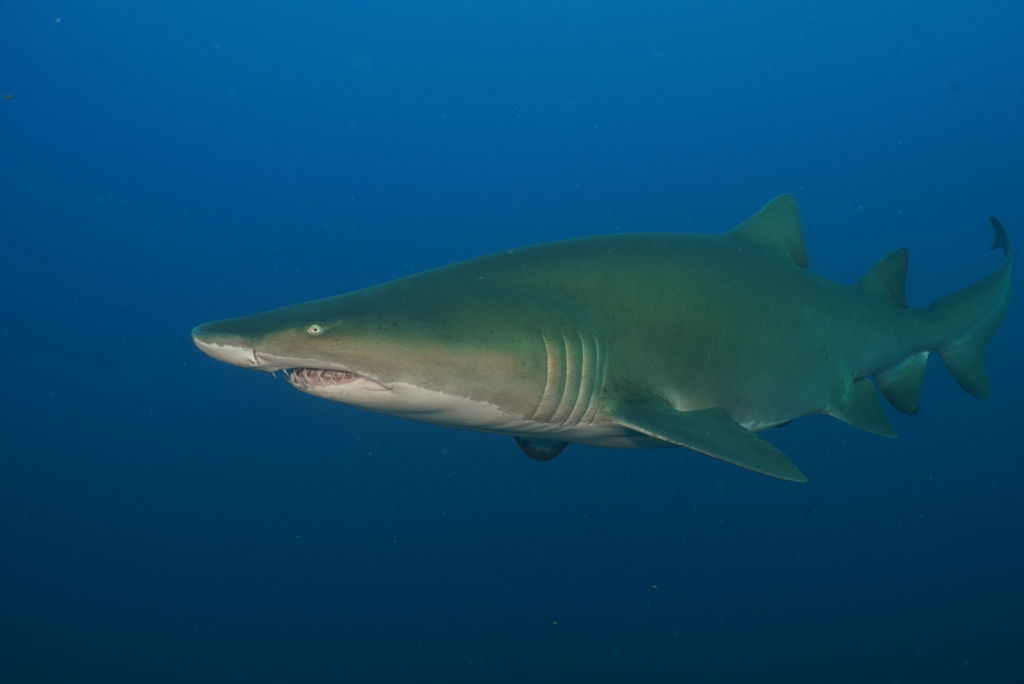 8dc960c0-d3cd-45eb-9a41-559a535ffd2a