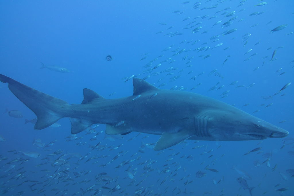 b2829143-7049-4ed7-9833-64af036a210e