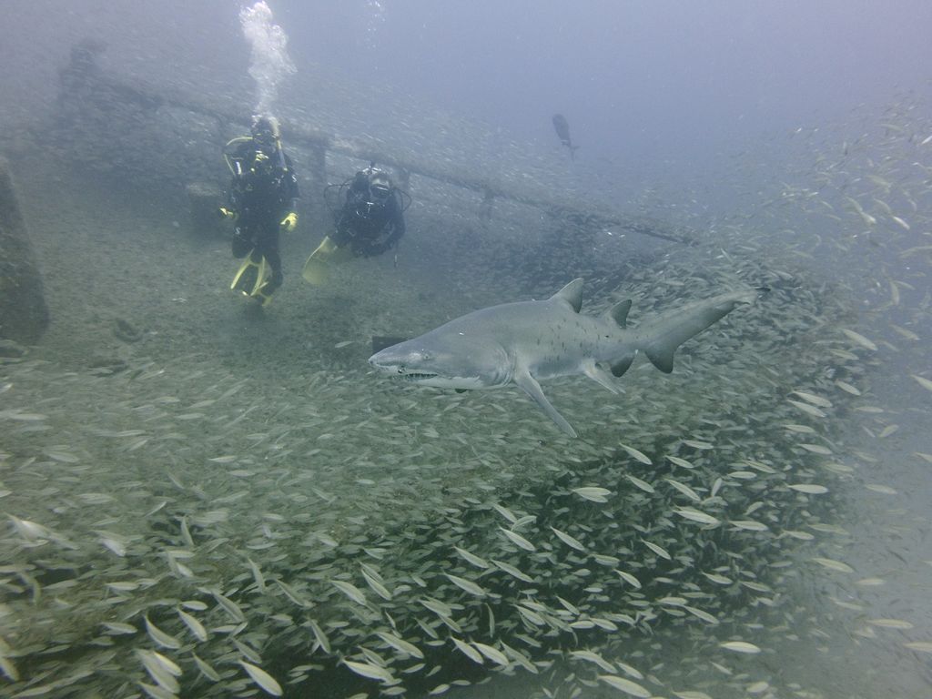 bf7971ef-fc78-42b4-83d0-695b98915129