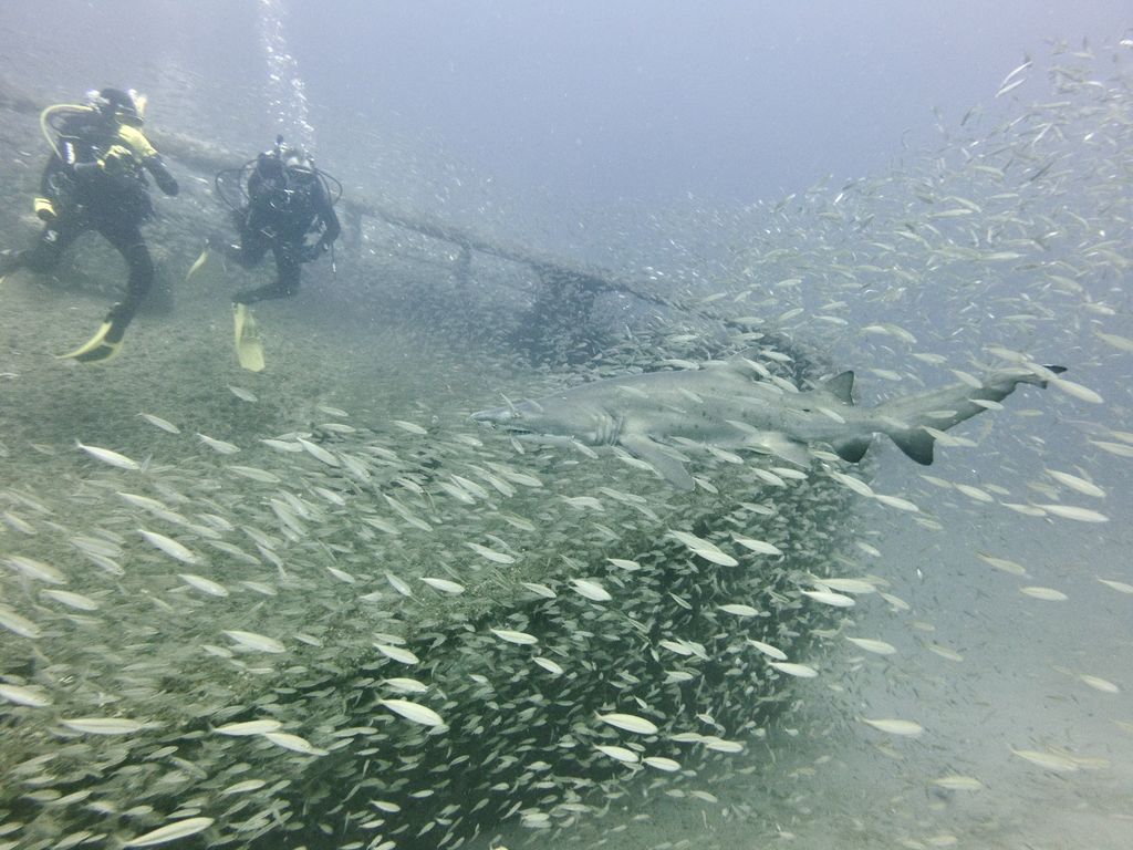 bf7971ef-fc78-42b4-83d0-695b98915129