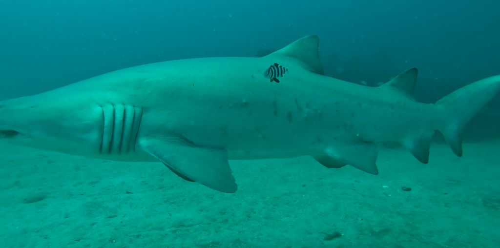 3d36e3cd-796c-431a-b677-d766e1a82da3