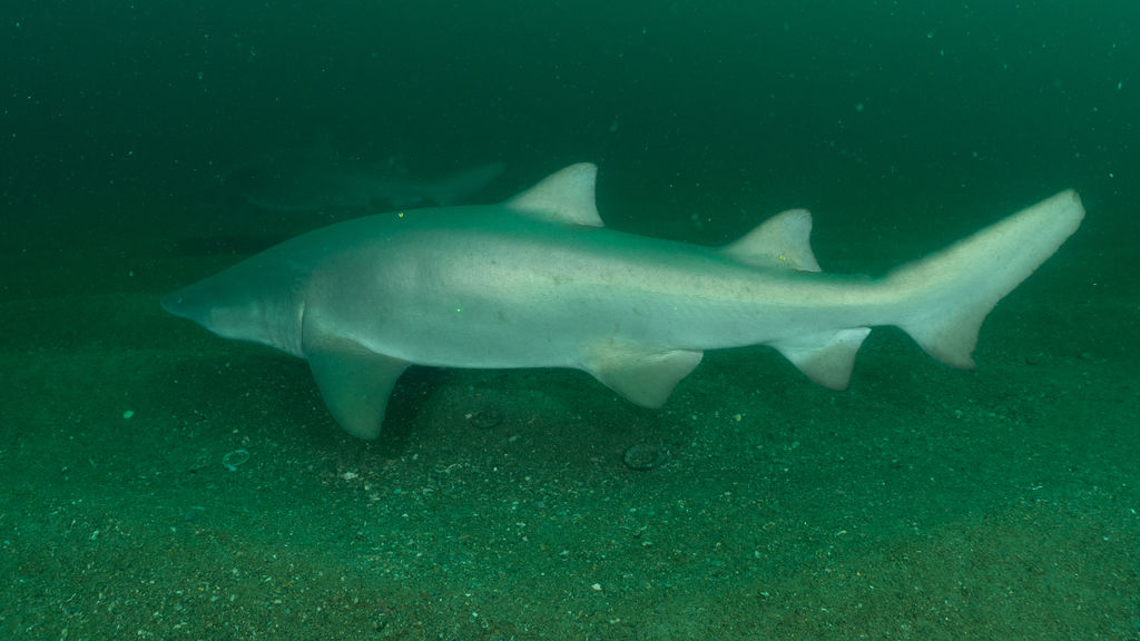 59965cbe-acf9-4bfd-ba8c-2215821dc253