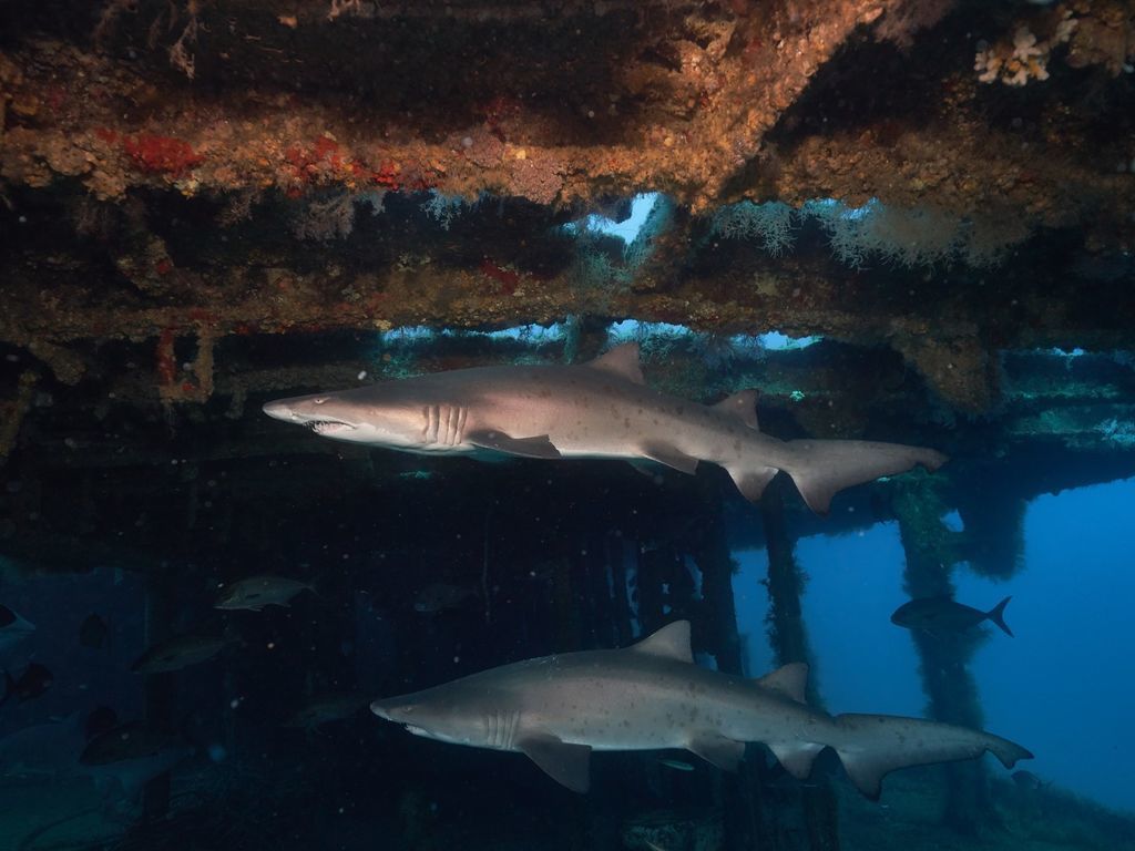 9412f3b0-a446-4c75-b0b8-c6c2dddba895