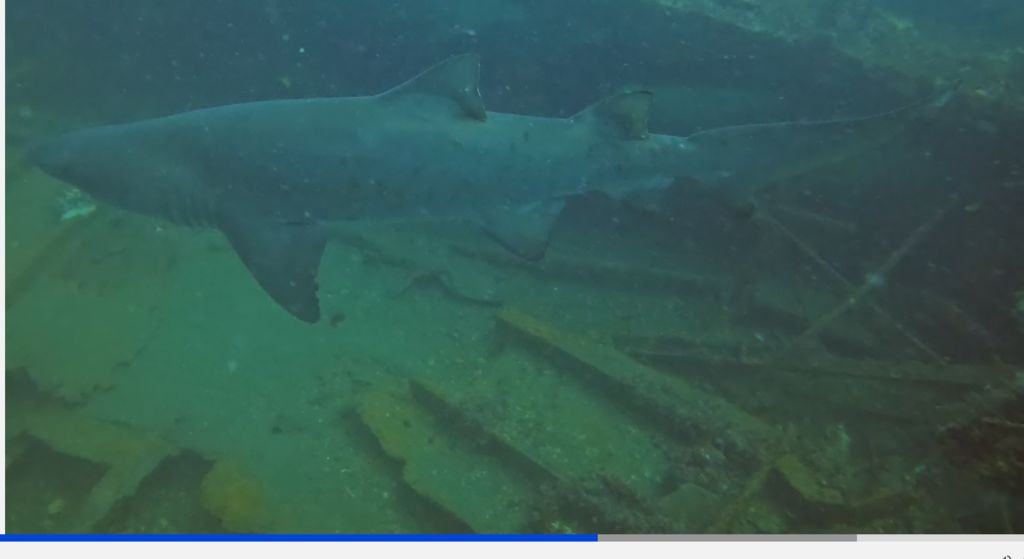 67c15b8e-d497-40bd-8adb-27b23163b093