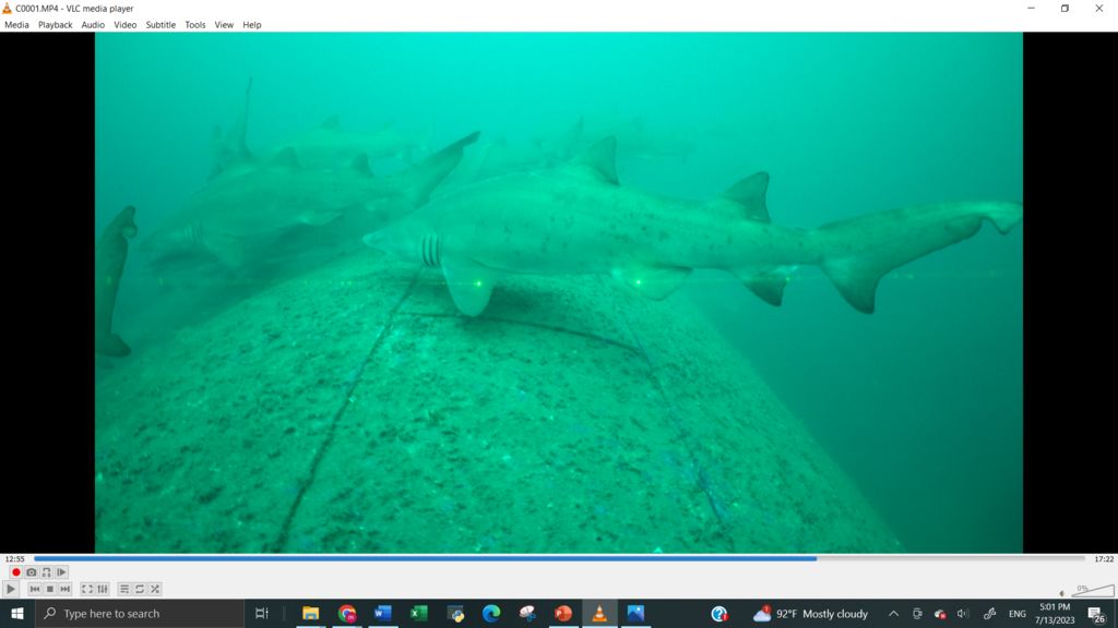 10092981-e299-4e14-ae3d-2d9a65ba31fa