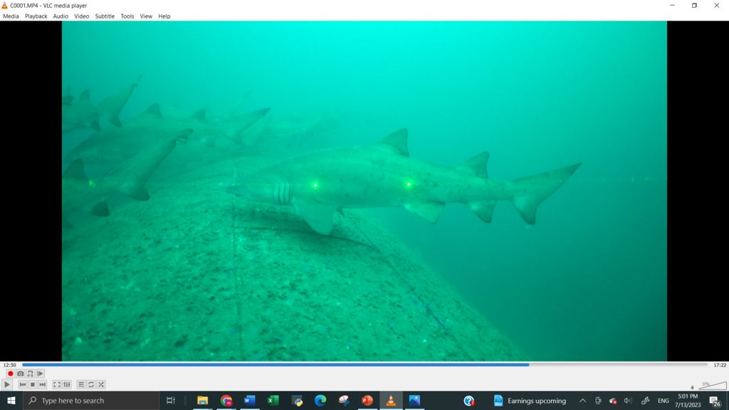 10092981-e299-4e14-ae3d-2d9a65ba31fa