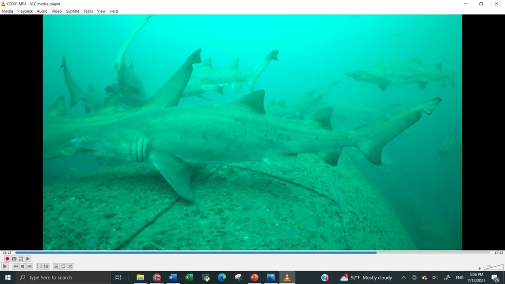 10092981-e299-4e14-ae3d-2d9a65ba31fa