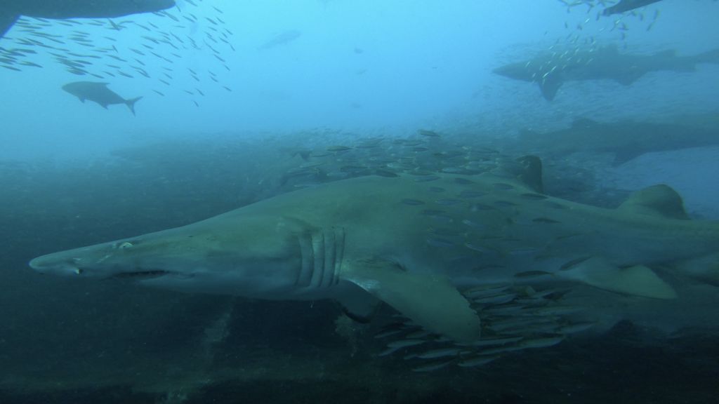 8299fb3c-633f-4f50-ad5c-c7a0b1472312