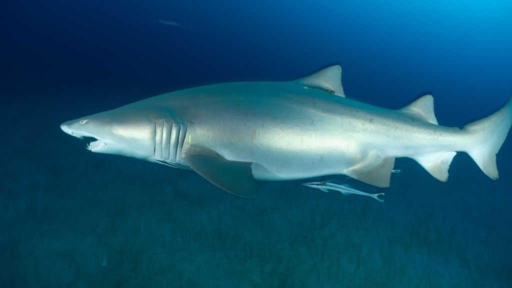 d3d466df-68c6-4b20-8ebc-85cac3817081