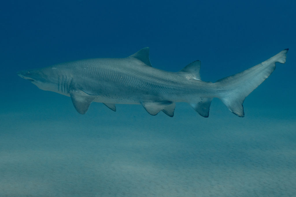 2b5a8fca-657a-4c11-9441-d5e065e18cfd