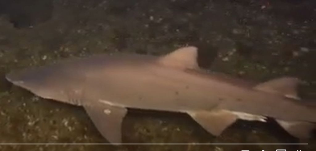 30acf82e-5b6b-43f8-aba0-e14685e418cc