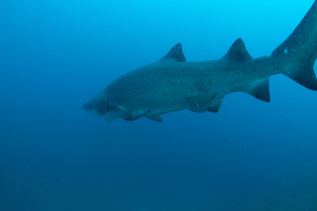 a191e18c-d454-4fc8-87de-37667b8c7c8f