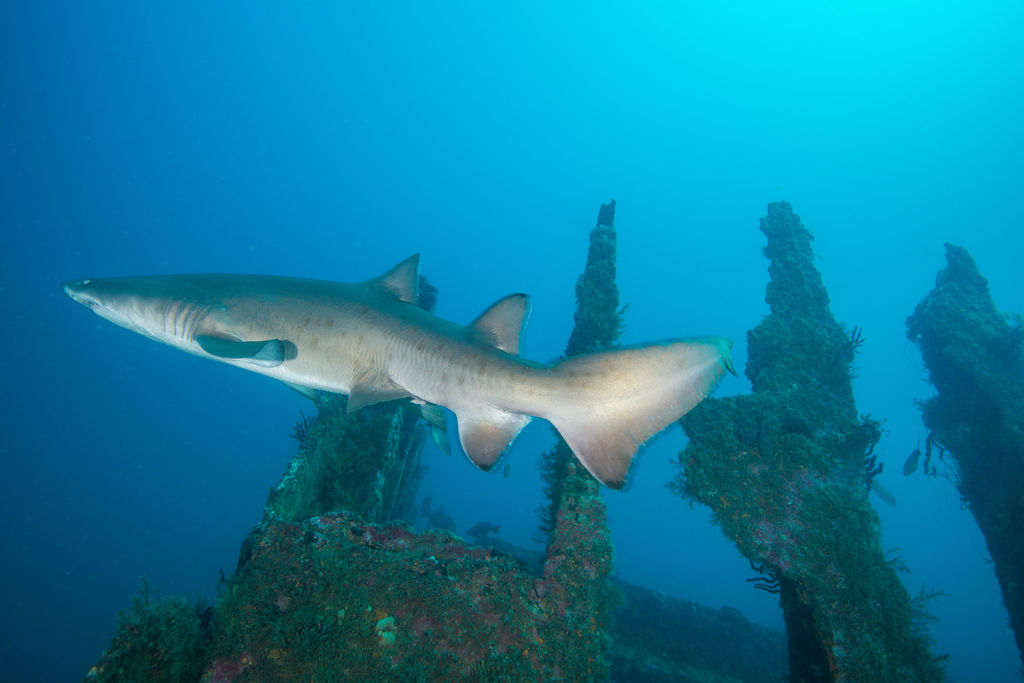 ac596c2e-b2b1-4fb6-8590-671a2309083b