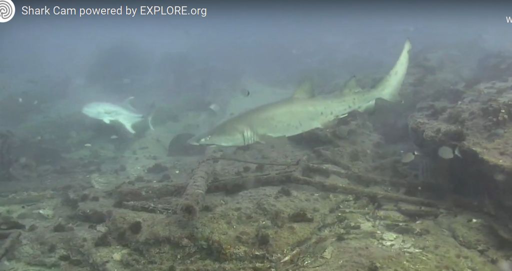 c46808a6-496c-41f8-9a3e-a0853b196997