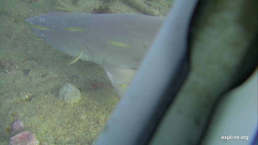 912760f7-46b6-4f31-8baa-97bc97442be6