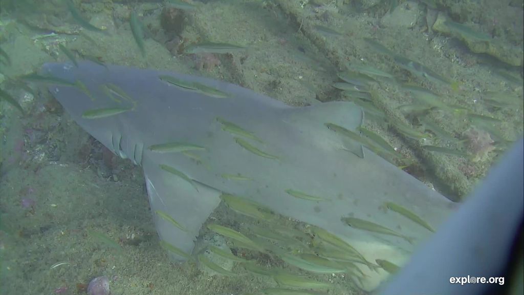 912760f7-46b6-4f31-8baa-97bc97442be6